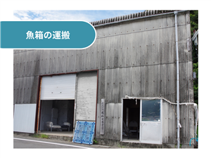 株式会社成和